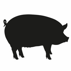 Realistic Black Silhouette of Pig  High Definition Anatomical Illustration with Detailed Texture