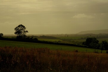 morning in the field, Rural English Countryside on a Cloudy Day