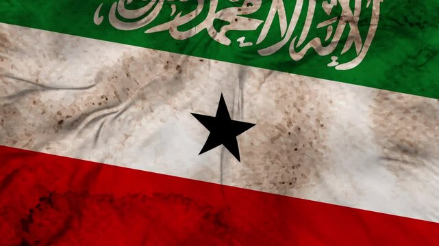 Somaliland texture flag seamless loop animation. 4K Video