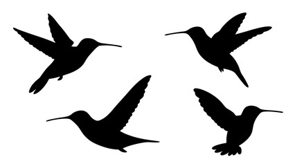 humming bird silhouette vector illustration on tranparent background