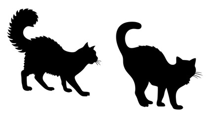 Halloween cat black vector silhouette