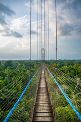 Amazon Canopy Walk, Suspension Bridge above Rainforest, Coca, Ecuador