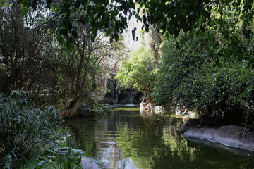 Nature reserve with humid vegetation and pond 