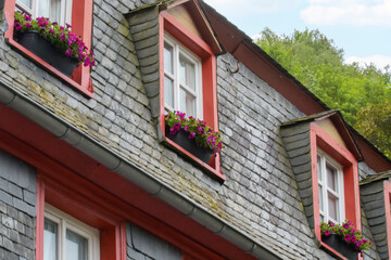 Window sills of old German houses are typically painted with flowers and blinds