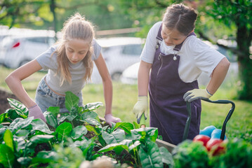 Two young girls gardening and taking care of plants in raised garden bed