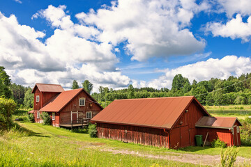 Obraz premium Old red barns in the countryside a sunny summer day