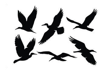  Soaring Silhouettes: The image features a collection of graceful black silhouettes of seabirds in flight, capturing their dynamic forms and free spirit.