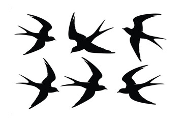 Swift Silhouettes Soaring Skyward: A captivating visual display showcases a series of elegant swallow silhouettes in dynamic flight, evoking a sense of freedom and movement.