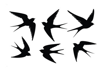 Swallows Silhouette: A minimalist silhouette of several swallows soaring through the sky, representing freedom, movement, and the grace of nature.