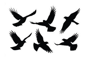 Fototapeta premium Soaring Freedom: Silhouetted figures of birds taking flight, illustrating the essence of freedom and natural movement.