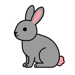 white rabbit on white background