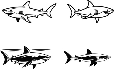 Shark Vector Line Art | Black and White Illustration on Blank Background
