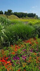 The beautiful nature of the park with the ancient tombs