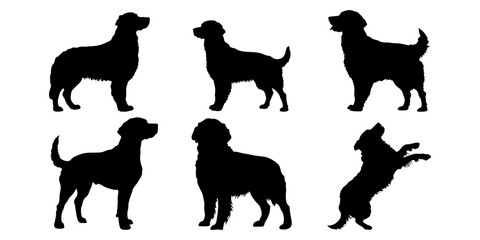 Golden retriever in different poses. Dog breed silhouette