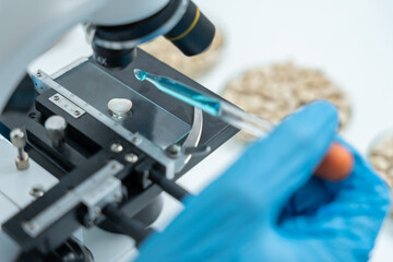 Scientist analyze biochemical samples in advanced scientific laboratory. Medical professional use...