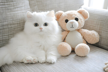 a white cat sitting next to a teddy bear