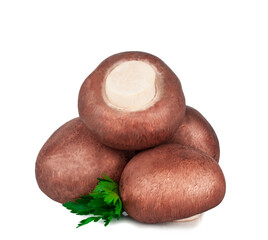 Mushrooms isolated on a white background