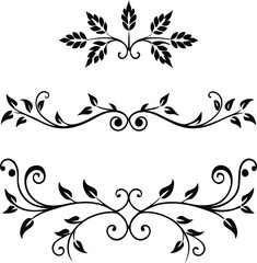Black Floral Swirls and Leaf Designs Set Elegant Ornate Vintage Style Decorative Elements
