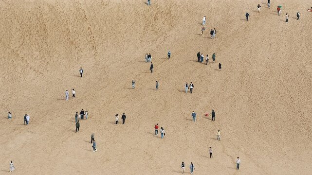 Sand dunes populated by visitors under a clear daytime sky.