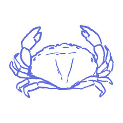 Sketch of crab drawn in pastel chalk style. Bold hand drawn seafood illustration suitable for beach restaurant menus, summer branding, marine packaging, kids ocean themes.