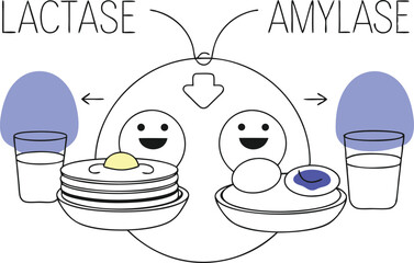PrPancakes, eggs, and juice dishes with enzyme characters