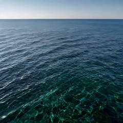 Sea
