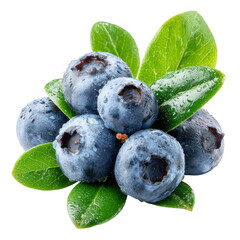 Obraz premium Fresh blueberries with water droplets and green leaves isolated on transparent background