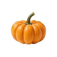 Obraz premium Pumpkin in vibrant orange color on white background 
