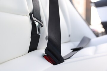 Safety belt and seats inside of modern car, closeup