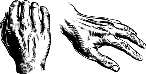 Detailed hand and wrist vein sketch for artistic design