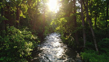 Obraz premium aerial shot of peaceful forest and river flowing, sunlight shining through trees, cinematic