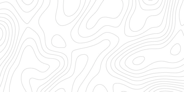 Abstract topographic white and gery contours map background- Vector Background.
