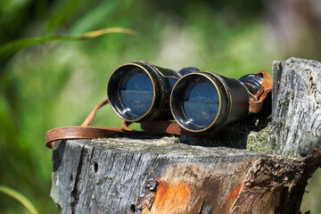 Vintage Binoculars on a Weathered Wooden Stump in Nature