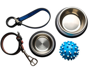 Dog accessories knolling style on yellow background.