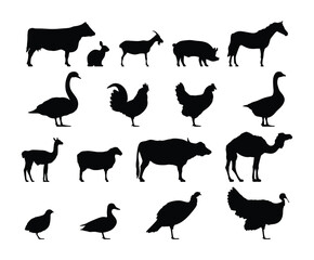 Livestock Animal Silhouettes Poultry And Mammals