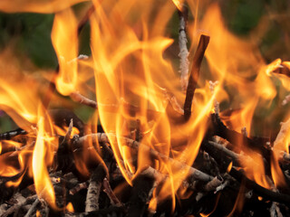 Bright Orange Flames Consuming Twigs and Small Branches
