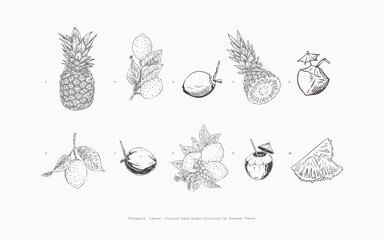 Hand Drawn Collection Featuring Pineapple Lemon and Coconut for Summer Designs