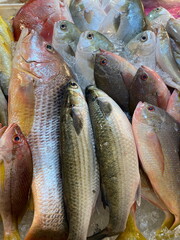 Fresh fish at market in Singapore