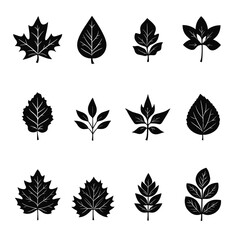 Obraz premium Autumn leaf icons in black silhouette style, variety of shapes for seasonal design