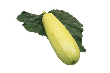 Freshly picked zucchini isolated on white background