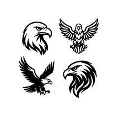 Fototapeta premium Eagle Line Art Vector Set – Soaring, Tribal, and Head Pose Illustrations