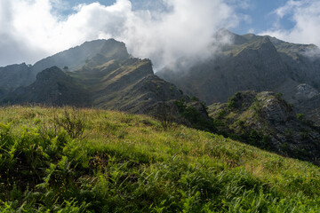 apuane