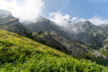 apuane