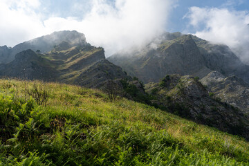 apuane