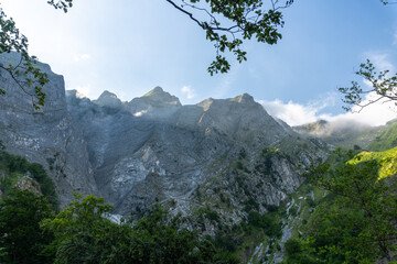 apuane