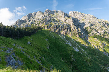 apuane