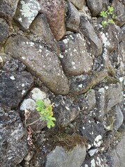 stone wall background