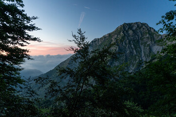 apuane