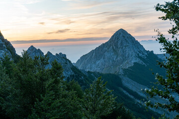 apuane