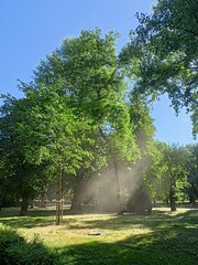 Obraz premium sun light playing with the dust 